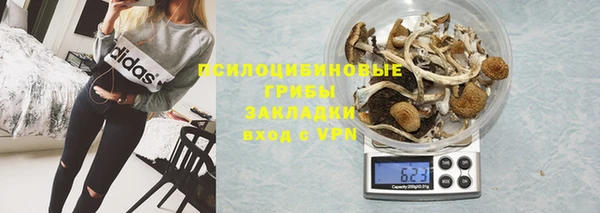 амф Балахна